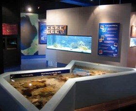 Marine and Freshwater Discovery Centre - VIC Tourism